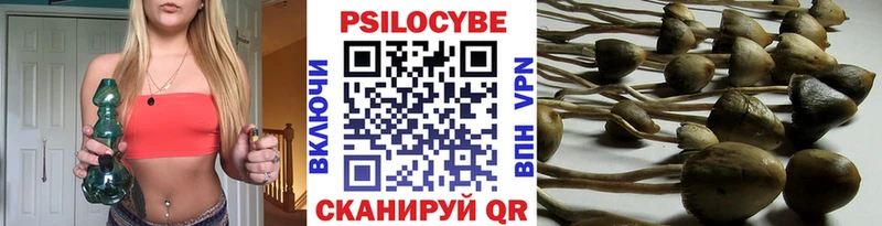 Галлюциногенные грибы Psilocybine cubensis  Ирбит 