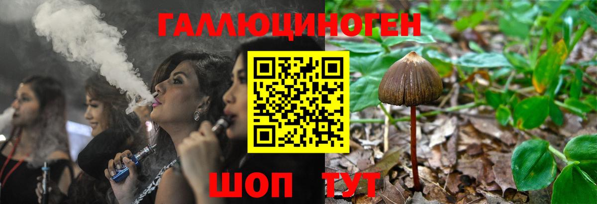 Ирбит  Псилоцибиновые грибы Psilocybe  Вход с VPN 